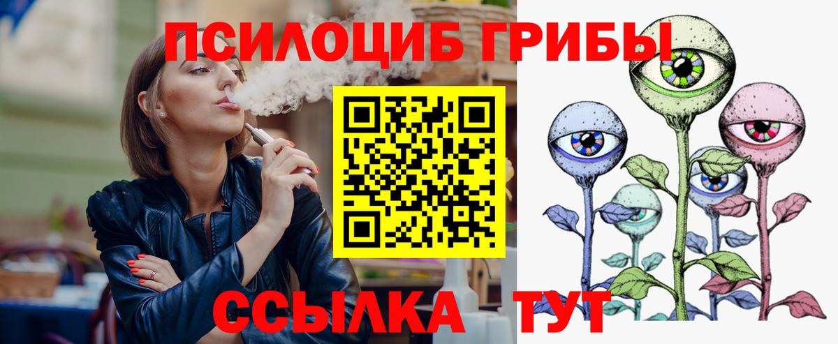 Жуковский  купить   Вход с VPN  Псилоцибиновые грибы GOLDEN TEACHER 