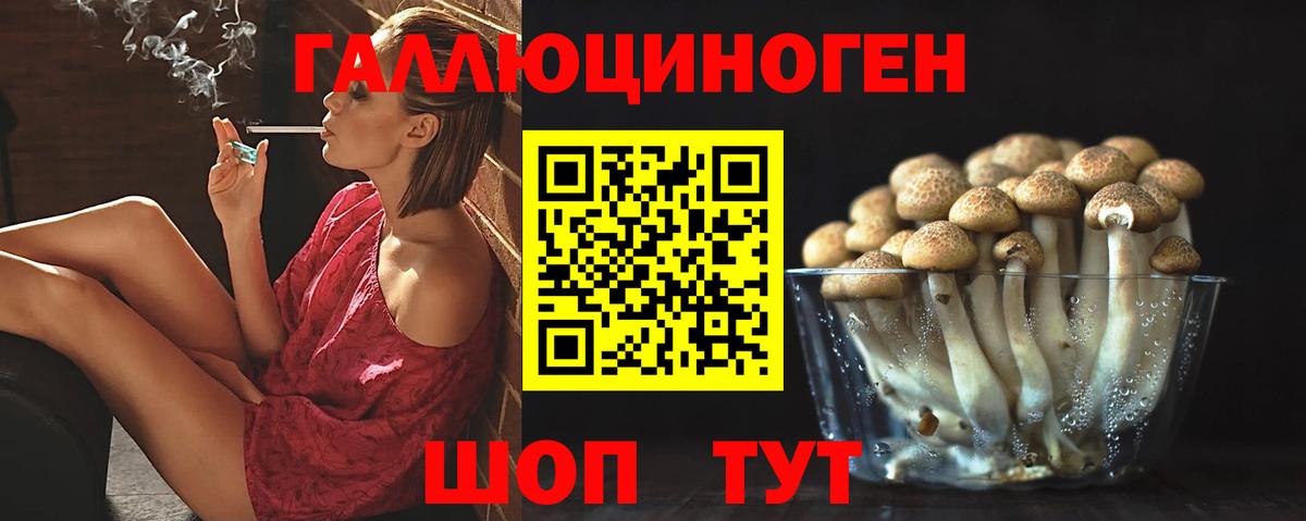 Псилоцибиновые грибы MAGIC MUSHROOMS Жуковский